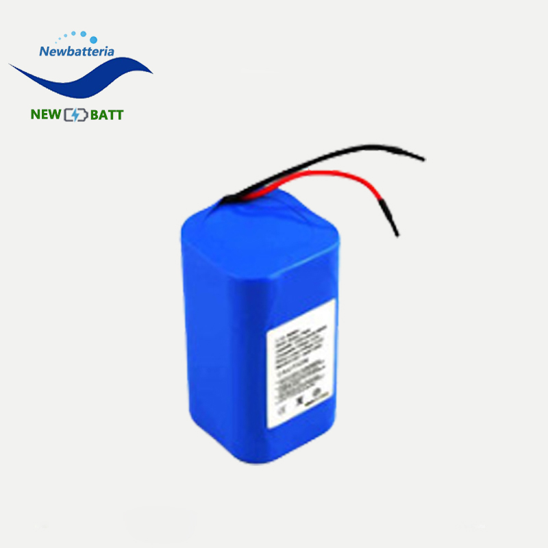 customized small lithium battery packs